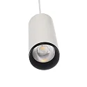 pendant luminaire LUCEA 15 IP20, transparent, traffic white dimmable