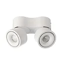 ceiling luminaire UNI II MINI DOUBLE TILT 2 flames, cardanic swivelling IP20, white dimmable