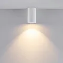 Downlight CAN cilindrisch, stijf GU10 IP20, wit