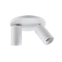 Plafondarmatuur CAN TILT ROUND Ø 20CM 2-vlams, rond, cardanisch draaien GU10 IP20, wit