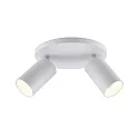 Plafondarmatuur CAN TILT ROUND Ø 20CM 2-vlams, rond, cardanisch draaien GU10 IP20, wit