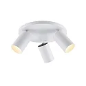 Plafondarmatuur CAN TILT ROUND Ø 25CM 3-vlams, rond, cardanisch draaien GU10 IP20, wit
