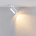 Deko-Light recessed spotlight CAN TILT ROUND SINGLE 1 flame, round, cardanic swivelling GU10 IP20, white