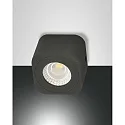 Downlight PALMI IP20, antraciet, deels gesatineerd dimbaar