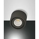Downlight ANZIO draaibaar IP20, antraciet, deels gesatineerd dimbaar