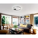 Fabas Luce Plafondarmatuur GIOTTO Ø 60CM SINGLE groot, 1-voudig IP20, gesatineerd, zwart dimbaar