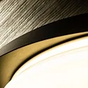 Faro wall and ceiling luminaire TENDER LED IP20, black matt 