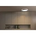 Faro wall and ceiling luminaire TENDER LED IP20, black matt 