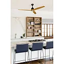 Faro Plafond ventilator ALO CCT met Afstandsbediening IP20, zwart mat, grenen