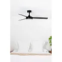 Faro Plafond ventilator BARTH met Afstandsbediening IP20, zwart mat