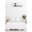 Faro Plafond ventilator BARTH met Afstandsbediening IP20, zwart mat
