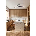 Faro Plafond ventilator BARTH met Afstandsbediening IP20, zwart mat