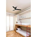 Faro Plafond ventilator RUDDER S met Afstandsbediening IP20, zwart mat, walnoot