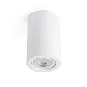 ceiling luminaire SVEN R GU10 IP20, white matt 