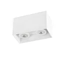 Plafondarmatuur TECTO 2-vlams GU10 IP20, wit mat 