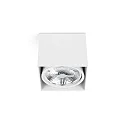 Plafondarmatuur TECTO G53 IP20, wit mat 