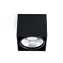 Plafondarmatuur TECTO G53 IP20, zwart mat 
