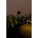 Faro Armatuur met grondpen FOC 520 LED IP65, donkergrijs 