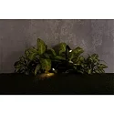 Faro Armatuur met grondpen SETH LED IP44, zwart mat 