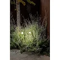 Faro Lichtpaal CUCA 650 LED IP65, zwart 