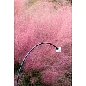Faro Armatuur met grondpen CUCA 1193 LED IP65, zwart 