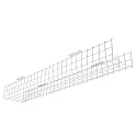 Beschermend rooster, wit