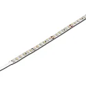 LED stripe LED BASIC TAPE 2 met stekker 500cm, 40W 3000K 120° CRI 90-100