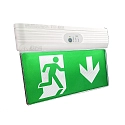 Noodverlichting SAVE-XS SINGLE CL IP44, groen, transparant, wit 