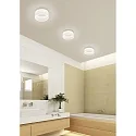 Helestra ceiling luminaire LIV 2-fold, ring shape IP30, black matt dimmable