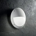 Outdoor luminaire LUCIA-2 AP1 Wall luminaire, 1 flame, E27, white