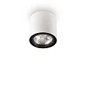 Plafondarmatuur MOOD ROUND QPAR111 draaibaar GU10 IP20, staal, wit