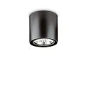 Plafondarmatuur MOOD ROUND QPAR111 draaibaar GU10 IP20, zwart