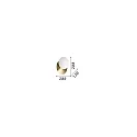 Wandarmatuur NINFEA AP1 GX53 IP20, wit