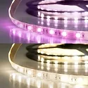 LED stripe SIL RGB+WW Flexband