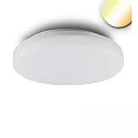 Outdoor LED ceiling / wall luminaire, IP54, 24W, ColorSwitch 3000K|4000K, 2700lm 120°, white, without sensor