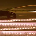 LED Strip CRI FOOD FLEX BREAD 2-pole white