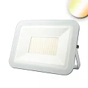 Strijklicht PAD 100W draaibaar, CCT Switch, radio bestuurbaar, schakelbaar IP65, wit 