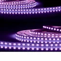 LED stripe AQUA RGB+WW wit
