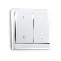 radio wall transmitter CONTROL 2-fold, battery-powered