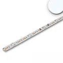LED module BACKLIGHT 865 DIM - 117.5CM voor BAP, 2-polig, met lensoptiek 16W 1175lm 6500K 180° CRI 80-89 dimbaar