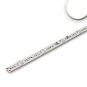 LED module BACKLIGHT 840 DIM - 117.5CM voor BAP, 2-polig, met lensoptiek 16W 1175lm 4000K 180° CRI 80-89 dimbaar