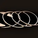 Volledig gesiliconiseerde ledstrip NEONPRO921 CUSTOM B04H08 2-polig