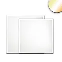 LED paneel BACKLIGHT LINE 625 ColorSwitch - ON/OFF CCT Switch, UGR < 19, schakelbaar