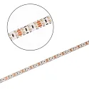 ISOLED LED stripe CRI919/940 CCT wit
