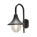 Wandarmatuur voor buitenshuis BARI E27 IP44, zwart, transparant
