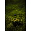 Konstsmide battery table lamp LILLE MINI with USB connection, with touch dimmer IP54, black dimmable