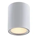 Plafondarmatuur FALLON LONG cilindrisch IP20, wit dimbaar