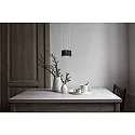 Lumexx pendant luminaire EASY LENS Dim-To-Warm, with lens optics IP20, black dimmable