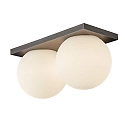 wall and ceiling luminaire PALLA DOUBLE IP20, titanium dimmable