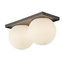 Lumexx Wand- en plafondarmatuur PALLA DOUBLE IP20, titaan dimbaar